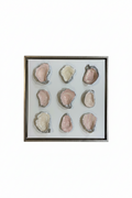 Blush House Signature 9